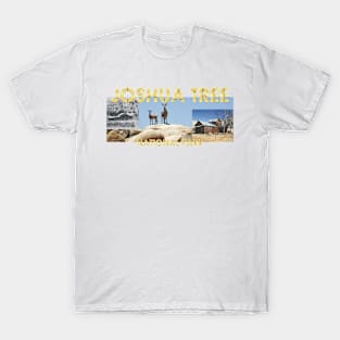 Joshua Tree National Park T-Shirt